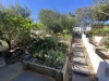 1A Myrtle Avenue, Sorrento, WA 6020-Image