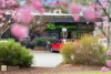 2/101 Eggleston Crescent, Chifley, ACT 2606-Image