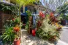 2/18 Andrews Close, Port Douglas, Qld 4877-Image