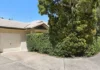 2/2 Sarena Court, Sunshine Beach, Qld 4567-Image