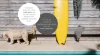 2/28 Hinley Avenue, Maroochydore QLD 4558-Image