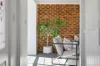 2/30 Meadow Street, Coffs Harbour, NSW 2450-Image