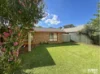 2/36 Windsor Parade, Dubbo, NSW 2830-Image