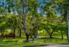 2/39 Sankey Street, Carina, Qld 4152-Image