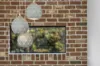 2/4 Arnold Street, Penguin, Tas 7316-Image