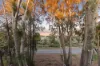 2/44 Conifer Avenue, Brooklyn VIC 3012-Image