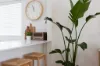2/53 Shire Street, Coorparoo, Qld 4151-Image