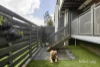 2/63 O'Connor Street, Reservoir, Vic 3073-Image