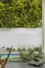 20A Arkaringa Crescent, Black Rock, Vic 3193-Image