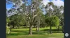 22/1 Suncoast Beach Drive, Mount Coolum, Qld 4573-Image