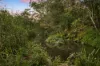 22/10-14 Greenlanes Road, Ashgrove, Qld 4060-Image