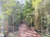 22/402 Pine Ridge Road, Coombabah, Qld 4216-Image