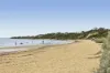 22B Reserve Road, Beaumaris, Vic 3193-Image