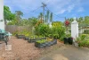 23/59-61 Vasey Esplanade, Trinity Beach, Qld 4879-Image