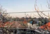 23 Marnoo Street, Braybrook, Vic 3019-Image