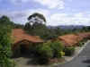 232 Guineas Creek Road, Elanora, Qld 4221-Image