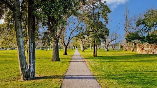 27 Provost Street, North Adelaide, SA 5006-Image
