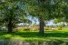 28 Judith Macintosh Crescent, Taylor, ACT 2913-Image
