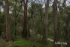 28B Park Road, Mount Waverley, Vic 3149-Image