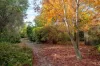 29/32 Bunbury Street, Stirling, ACT 2611-Image