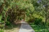 29/527 Gold Coast Highway, Tugun, Qld 4224-Image