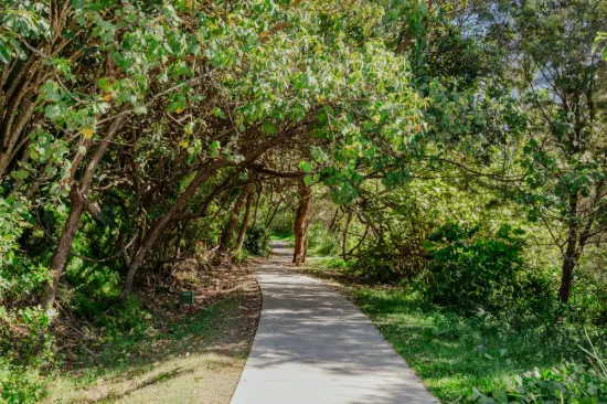 29/527 Gold Coast Highway, Tugun, Qld 4224-Image