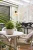 29 Vineyard Way, Breakfast Point, NSW 2137-Image