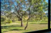3/1 Bon Scott Crescent, Moncrieff, ACT 2914-Image