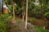 3/121 Mildmay Street, Fairfield, Qld 4103-Image