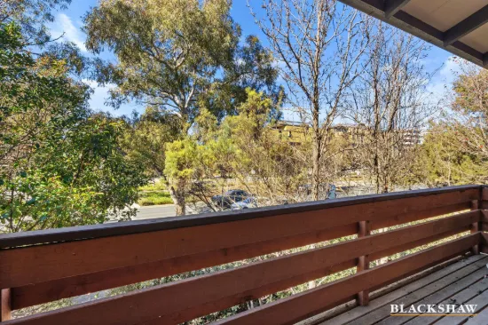 3/124 De Burgh Street, Lyneham, ACT 2602-Image