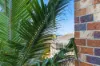 3/1335 Gold Coast Highway, Palm Beach, Qld 4221-Image