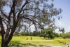 3/15 Freda Bennett Circuit, Nicholls, ACT 2913-Image