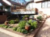 3/17 Priory Road, Waverton, NSW 2060-Image