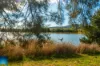 3/39 Wootton Crescent-'Point Hut Shores', Gordon, ACT 2906-Image