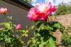 3/59 Hodgson Crescent, Pearce, ACT 2607-Image