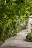 3 Gatehouse Place, Brighton, Vic 3186-Image