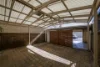 3 Swaine Avenue, Rose Park, SA 5067-Image