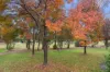 30 Scratchley Place, Monash, ACT 2904-Image