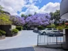 307/21 Patrick Lane, Toowong, Qld 4066-Image