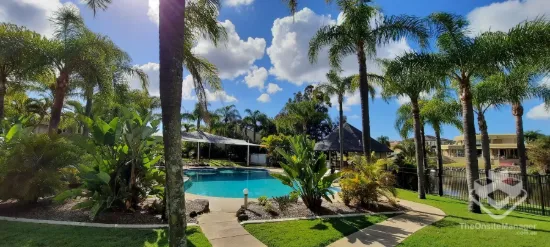 31/1 Resort Drive, Robina, Qld 4226