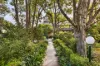 31/32 Chandos Street, Ashfield, NSW 2131-Image