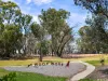 31/68 Dalkin Crescent, Casey, ACT 2913-Image