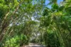33/5-15 Mcgregor Street, Mooroobool, Qld 4870-Image