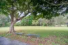 34/1596 Wynnum Road, Tingalpa, Qld 4173-Image