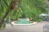 37/1 Poinsettia Court, Mooloolaba, Qld 4557-Image