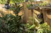 38/33 Scholars Drive, Sippy Downs, Qld 4556-Image