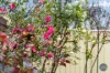 38/67 Barraclough Crescent, Monash, ACT 2904-Image
