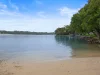 4/1649 Ocean Drive, Lake Cathie, NSW 2445-Image