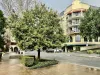 4/3028 The Boulevard, Carrara, Qld 4211-Image