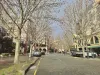 4/3028 The Boulevard, Carrara, Qld 4211-Image